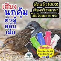 ราคา เสียงต่อนกคุ้มตัวผู้ผสมเมีย เมม แฟลชไดร์ฟเสียงนกคุ้มมผู้ผสมเมีย มีเก็บเงินปลายทาง เสียงจริงชัดแจ๋ว 100 ไม่มีโฆษณาแทรก MP3เสียงสัตว์ (16753292858)
