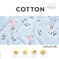 ราคา Phurinn Kid pillow Cover ปลอกหมอนยางพารา สำหรับเด็ก รวมทุกรุ่น (17235953224)