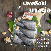 ราคา ปลาสลิด บางบ่อ มีไข่ (14915043473)