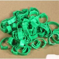 ราคา ห่วงขาไก่ ห่วงใส่ขาไก่ แหวนขาไก่ ห่วงขาไก่ชน ปรับขนาดได้ (19533738729)