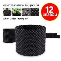 ราคา กระถางปลูกต้นไม้เร่งราก Air Pot กระถางมีรู กระถางเร่งราก กระถางเพิ่มราก กระถางปลูกต้นไม้ กระถาง กระถางต้นไม้ (20131103018)