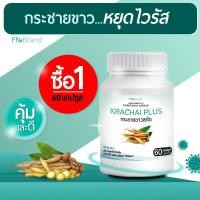 ราคา พร้อมส่ง ส่งไว FN Krachai Plus 1 กระปุก 60 แคปซูล กระชายขาวแคปซูล กระชายขาว พลูคาว ขิง (9558005335)
