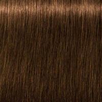 ราคา ไม่รวมไฮ Schwarzkopf Igora Royal Absolutes 60ml ปิดผมขาว สีสวย ไม่มืด (21427589837)