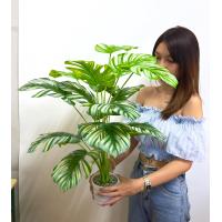 ราคา ต้นไม้ประดิษฐ์ ต้นไม้ประดับห้อง ดอกไม้พลาสติก ต้นไม้เสริมบารมีบ้าน พืชมงคล ต้นไม้มงคล ไม่มีกระถาง Plant M (17161665703)