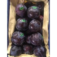 ราคา สดใหม่จากฟาร์ม เชอรี่ลูกจัมโบ้ เชอรี่จากดอย ดองเหล้า ลูกไหนสด ลูกพลัม 1กิโล ราคาถูก ราคาส่ง (21039927909)