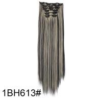 ราคา 16คลิปในการต่อผม22 คลิปต่อผมสำหรับผู้หญิงต่อผมสังเคราะห์ผมต่อไล่เฉดสีสีน้ำตาล (10419059033)