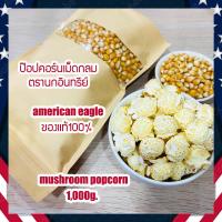 ราคา Mushroom popcorn 100 ข้าวโพดเม็ดกลม เมล็ดข้าวโพดป๊อปคอร์น เมล็ดป๊อปคอร์นมัชรูม ป๊อปคอร์นมัชรูม mushroom popcorn 1000 กรัม (19323989979)