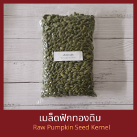 ราคา เม็ดฟักทอง ดิบ กระเทาะเปลือก 500 กรัม Raw Pumpkin Seed Kernel 500 g (9931774027)