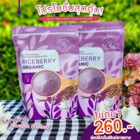 ราคา 1แถม1 จมูกข้าวไรซ์เบอร์รี่ จมูกข้าว Rice Berry ข้าวไรซ์เบอร์รี่บดผง ถุงละ500กรัม (12158417214)