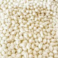 ราคา ถูกที่สุด ดอกพุดร้อยตาข่ายพลาสติก 1000ดอก ดอกไม้ปลอม ดอกพุด (21725416980)