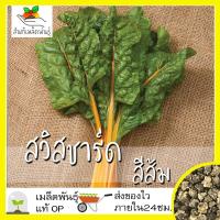 ราคา เมล็ดพันธุ์ สวิสชาร์ด สีส้ม 50 เมล็ด Orange Swiss Chard Seed เมล็ดพันธุ์แท้ นำเข้าจากต่างประเทศ ปลูกง่าย โตไว พืชผัก (7178808105)