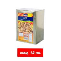 ราคา ขนมปังปี๊บ ตราวีฟู้ดส์ VFoods ปี๊บเล็กบรรจุ 1 2 1 3 กก อ่านก่อนกดสั่งซื้อ (21409405844)