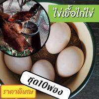 ราคา ไข่ชื้อไก่ไข่ไฮบริด 10 ฟอง (9044711288)