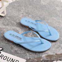 ราคา 559 รองเท้าแตะ แฟชั่นหูหนีบ รองเท้าแตะ รองเท้าแตะแฟชั่น รุ่นหูหนีบ งานหนังแก้วสีสดใส มี7สี พร้อมส่ง (21198736081)