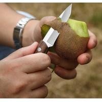 ราคา SD56 มีดพกเล็ก มีดสเต็ก มีดหั่นสเต็ก มีดหั่นเนื้อ พร้อมซอง (21481502842)