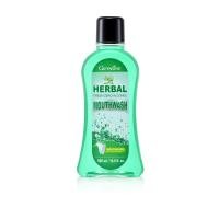 ราคา ส่งฟรี น้ำยาบ้วนปาก กิฟฟารีน สูตร ไม่มีแอลกอฮอล์ Herbal Fresh Zero Alcohol Mouthwash GIFFARINE ดูแลสุขภาพช่องปาก (21161565235)