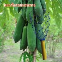 ราคา ตะกร้อสอยมะละกอ ตะก้อสอยผลไม้ (21686420744)