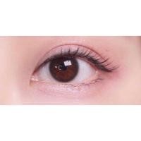 ราคา คอนแทคเลนส์ Water Black Lollipop ขนาดมินิ (17510149913)