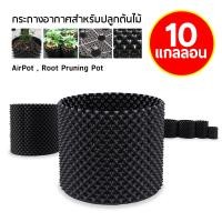 ราคา กระถางปลูกต้นไม้เร่งราก Air Pot กระถางมีรู กระถางเร่งราก กระถางเพิ่มราก กระถางปลูกต้นไม้ กระถาง กระถางต้นไม้ (20131103017)