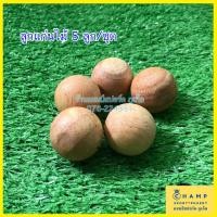 ราคา ลูกแก่นเปตอง ลูกแก่นไม้ ของแท้ได้มาตรฐาน ลูกแก่น กีฬาเปตอง ลูกล่อ ลูกเป้า (19853076089)