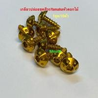 ราคา น๊อตเกลียวปล่อยหัวดอกไม้สีทอง 1ชุดมี10ตัว สำหรับชุดสีYamaha Mio Fino Nouvo N Max Aerox งานสเตนเลส (4811536499)