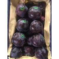 ราคา สดจากสวน เชอรี่ลูกจัมโบ้ เชอรี่จากดอย ดองเหล้า ลูกไหนสด ลูกพลัม 1กิโล ราคาส่ง ราคาถูก (20992352799)