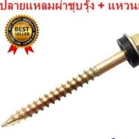 ราคา สกรู ปลายแหลมผ่าหัวเหลี่ยมชุบรุ้ง แหวนยาง รองแหวนสองชั้น ยิงกระเบื้อง ยิงหลังคา แปไม้ ถุง 30 ตัว (21598832191)