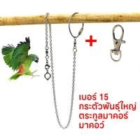 ราคา พร้อมส่ง โซ่คล้องขานก สายจูงนก โซ่นกแก้ว โซ่จูงนก โซ่สำหรับนกแก้ว ห่วงเปิดขานก ห่วงขานก ยาว 80 ซม สแตนเลส (21211447386)