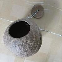 ราคา บ้านกะลา บ้านนกหงษ์หยก รังนกหงษ์หยก บ้านนก รังนก ที่นอนชูการ์ บ้านกระรอก (20915269778)