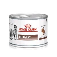 ราคา Royal Canin Recovery อาหารสำหรับสุนัขและแมวป่วยระยะพักฟื้น (16783007668)