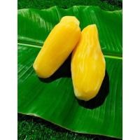 ราคา บัวหิมะสดๆดอยอ่างขาง ไซส์กลาง 3กิโล กรอบหวานฉ่ำ อร่อย สดๆ ผลไม้เมืองหนาวดอยอ่างขางเจ้าของสวนขายเอง (20666572804)