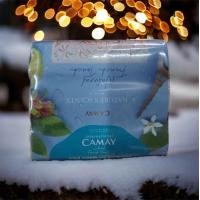 ราคา แพ็ค 3 ก้อน สบู่ก้อน Camay 125 กรัม 3 Natural French Touch (21252557760)