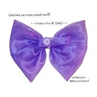 ราคา ปลอกคอโบว์ใหญ่ แมวน่ารัก เจอร์รี่ (21778064864)