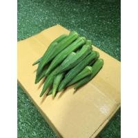 ราคา สดจากฟาร์ม ฝักกระเจี๊ยบเขียวสด 1 กิโล ไฟเบอร์สูง ช่วยควบคุมน้ำตาล ใบกระเจี๊ยบ ผักผลไม้ ราคา ถูก ส่ง (21006227350)