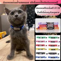 ราคา ป้ายชื่อแมว แถมฟรีปลอกคอ ปลอกคอแมวสลักชื่อ ป้ายชื่อสัตว์เลี้ยง (19818796720)