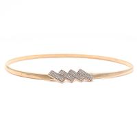 ราคา 1ชิ้นเข็มขัดแฟชั่นเดรสแบบมีเข็มขัดอเนกประสงค์แบบเรียบง่ายสำหรับผู้หญิงสายรัดเอวเข็มขัดแบบยืดได้โลหะแบบบางสีทองเครื่องประดับเดรสแบบมีเข็มขัด (19514596521)