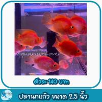 ราคา ปั้มลมสำหรับคนเลี้ยงปลา เพิ่มความสวยงามให้ตู้ปลา (21386880310)