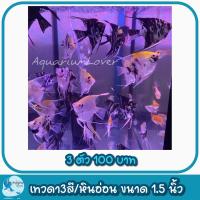 ราคา ปั้มลมสำหรับคนเลี้ยงปลา เพิ่มความสวยงามให้ตู้ปลา (21386880311)