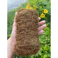 ราคา ยอดยาแดง เกรดAสมุนไพรพื้นบ้านกลาย กินหมาก ไล่แมลง ศัตรูพืช ขนาด60กรัม (21465964309)