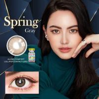 ราคา คอนแทคเลนส์ Spring Brown Gray Lollipop ขนาดมินิ (17510194644)