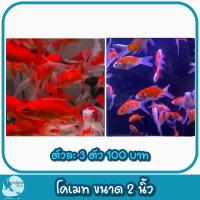 ราคา ปั้มลมสำหรับคนเลี้ยงปลา เพิ่มความสวยงามให้ตู้ปลา (21386863734)