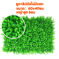 ราคา หญ้าติดผนัง ต้นตีนเป็ด หญ้าเทียม 40x60cm กำแพงหญ้าเทียม หญ้ามิลาน แต่งบ้าน แต่งรั้ว แต่งร้านแต่งคาเฟ่ ตกแต่งผนัง สีสวยดูธรรมชาติ ตกแต่งร้าน ให้สวยงาม (21630366431)