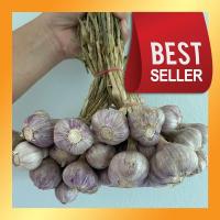 ราคา กระเทียม 1 กิโล กระเทียมไทย ใหม่ปี67 จากพะเยา (21439834706)