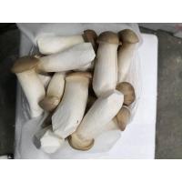 ราคา สดใหม่จากสวน เห็ดออรินจิ ขนาด1กิโลกรัม ราคาส่ง ราคาถูก (21015915734)