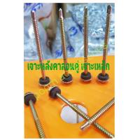 ราคา สกรูปลายสว่านชุบรุ้ง ยางรอง หัวเหลี่ยม HSD 10 x 2 10 x 3 10 x 3 1 2 จำนวน 100 ตัว ทำจากเหล็กอย่างดี ใช้ยิงกระเบื้องลอนคู่ ยิงหลังคาเมัลชีท เจาะเหล็ก คม เจาะง่าย (1344886336)