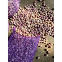 ราคา กระเทียมโทนเล็ก 1 กก คัดคุณภาพ กระเทียมโทนขนาดเล็ก ทานพอดีคำ (21653881295)