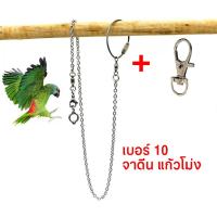 ราคา พร้อมส่ง โซ่คล้องขานก สายจูงนก โซ่นกแก้ว โซ่จูงนก โซ่สำหรับนกแก้ว ห่วงเปิดขานก ห่วงขานก ยาว 80 ซม สแตนเลส (21211447384)