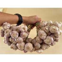 ราคา กระเทียมไทยมัดจุก 1กิโล กระเทียมใหม่ แห้งสนิท คัดพิเศษ สดเเน่นทุกหัว สะอาด กระเทียมไทย100 หอมมาก (19048487654)