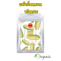 ราคา ผงข้าวโพดหวาน ฟรีสดราย Organic Sweet Corn Powder 100 500 กรัม (21187294297)