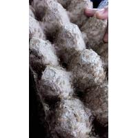 ราคา สะดิ้ง ขนาด 1 ชุด เคลมไม่เสียค่าใช้จ่าย (21725716069)